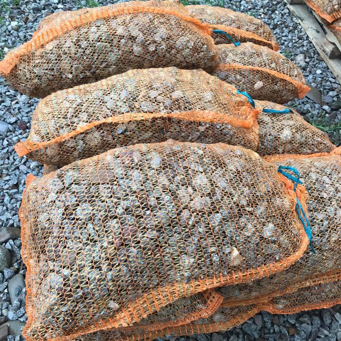 Kamień drenażowy, grys workowany, kruszywo drenarskie, grys, żwir,