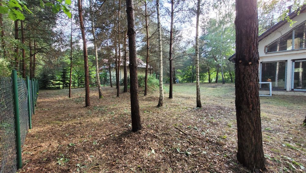 Wycinka drzew, pielęgnacja ogrodu , przygotowanie terenu pod budowe