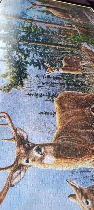 Королівська сім'я оленів