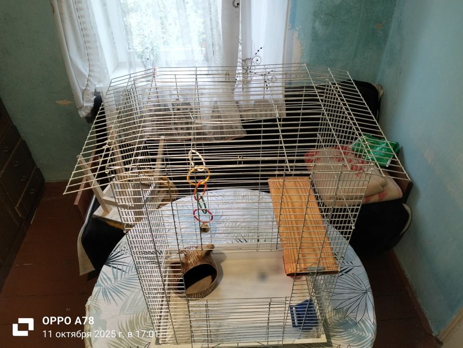 Клетка для шиншил и крупных попугаев.