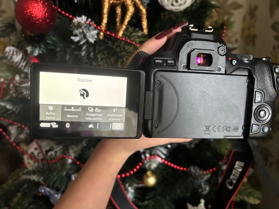 Фотоапарат Canon eos 250d