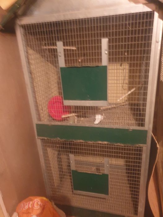 Vendo gaiola de passaros