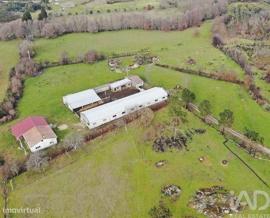 Quinta T3 em Quintela de Azurara de 113 m2