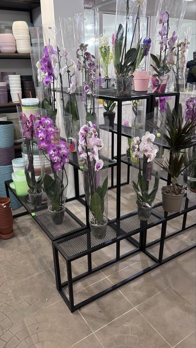 Стелаж для квітів / Підставки для квітів / Меблі для квіткового