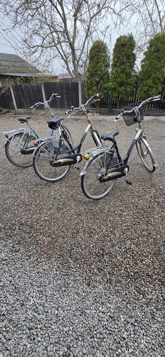 Rowery 2×Batavus i Sparta