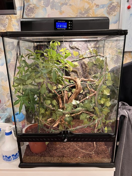 Тераріум Exo Terra (45x45x60см) з обладнанням та декором