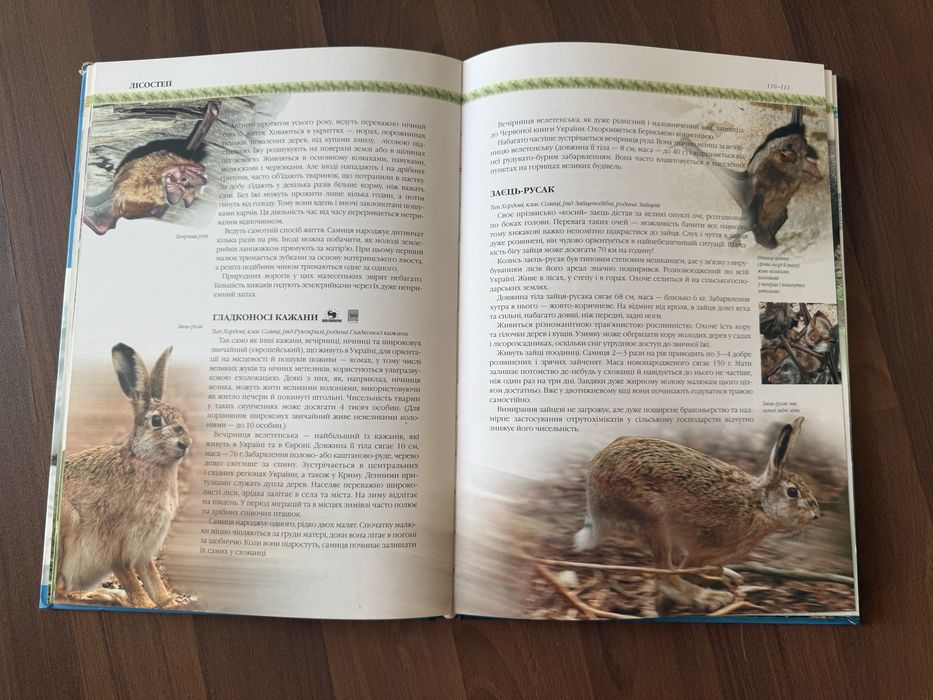 Природа України: тварини, птахи, комахи, риби - гарна енциклопедія