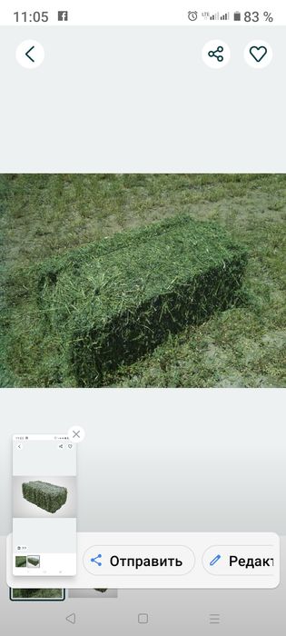 Продам сено люцерны и сено луговое в тюках