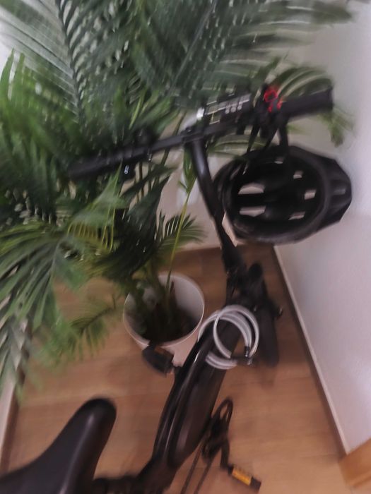 Bicicleta elétrica
