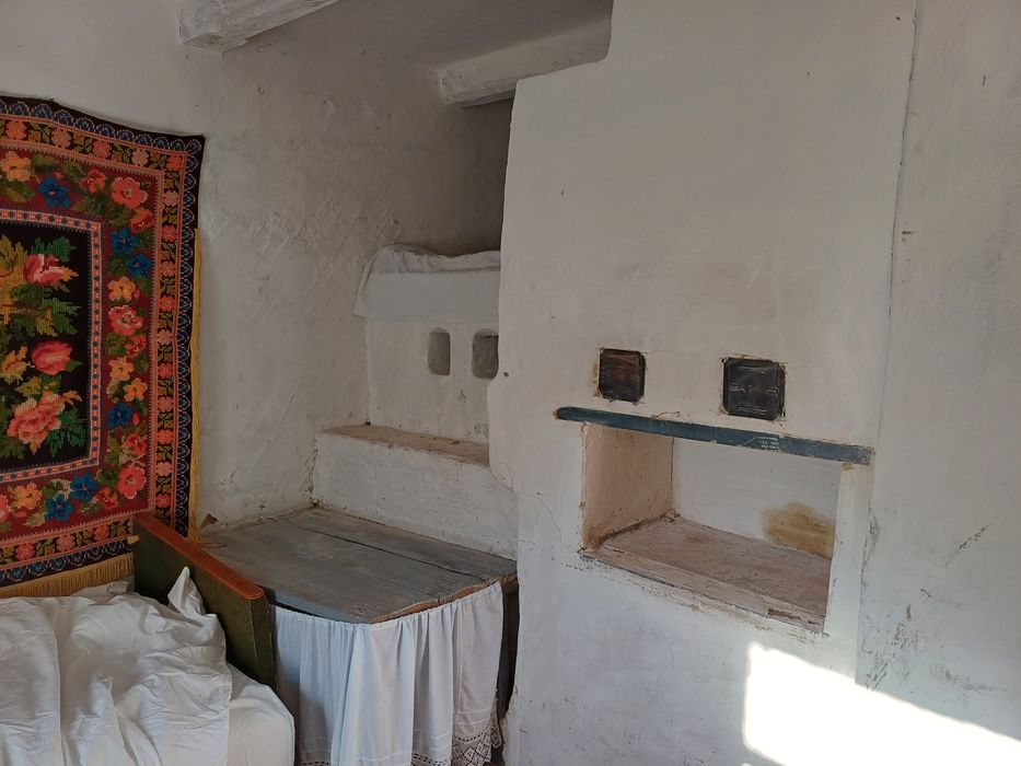 Продам будинок в с. Виблі