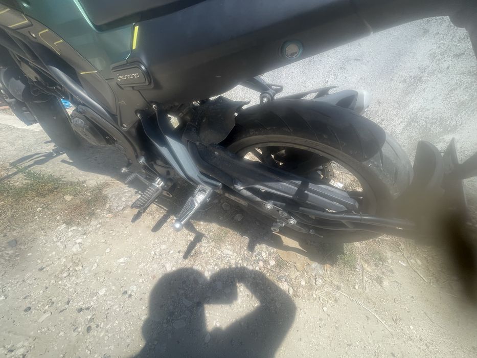 Benelli leoncino