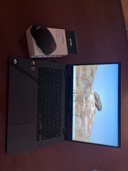 Asus Cm14 Flip Rato e Caneta