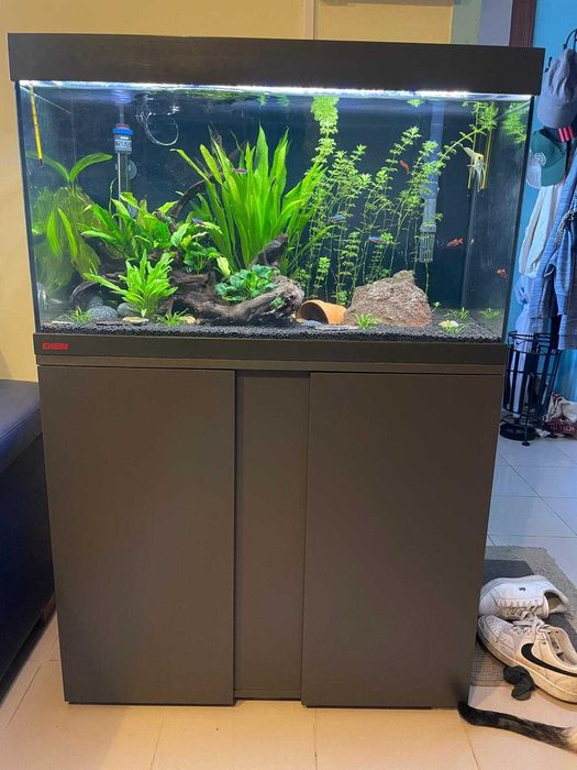 Aquário EHEIM Vivaline LED 126L