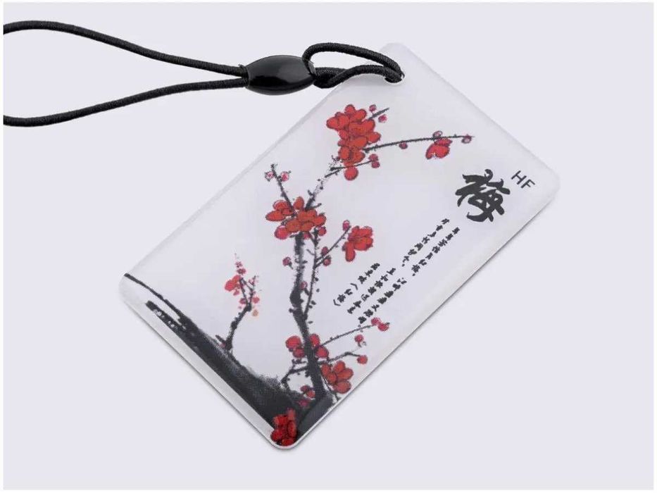 Набор _ Ключ брелок для домофона перезаписуемый T5577 125kHz