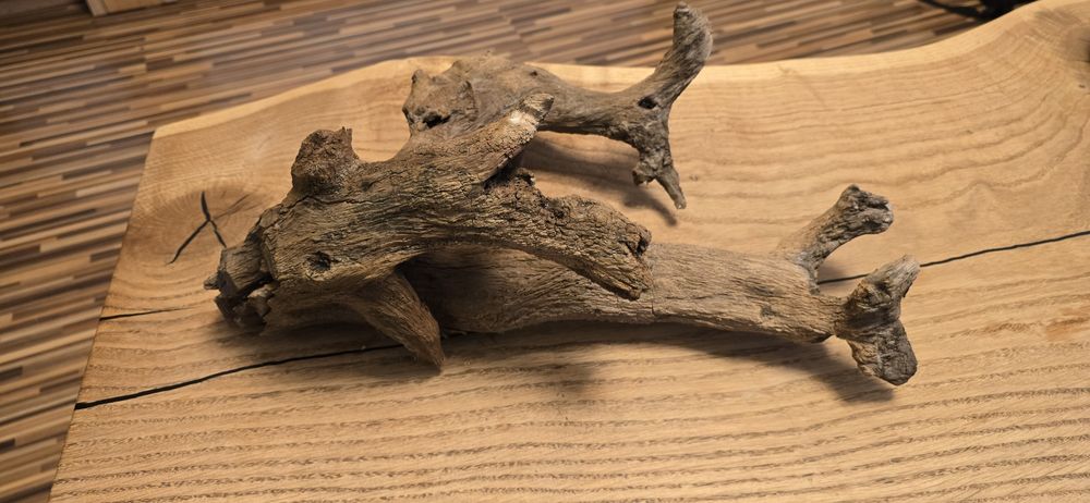 Korzeń do Akwarium Terrarium Ozdoba !!