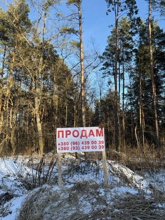 Продам ділянку с виходом до Заповідного Лісу