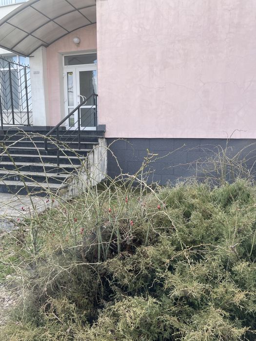 Оренда приміщення вільного  призначення