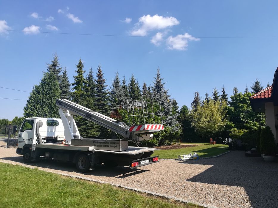 Wycinka drzew z podnośnika, przycinka/rębakowanie/frezowanie.UBEZPIECZ