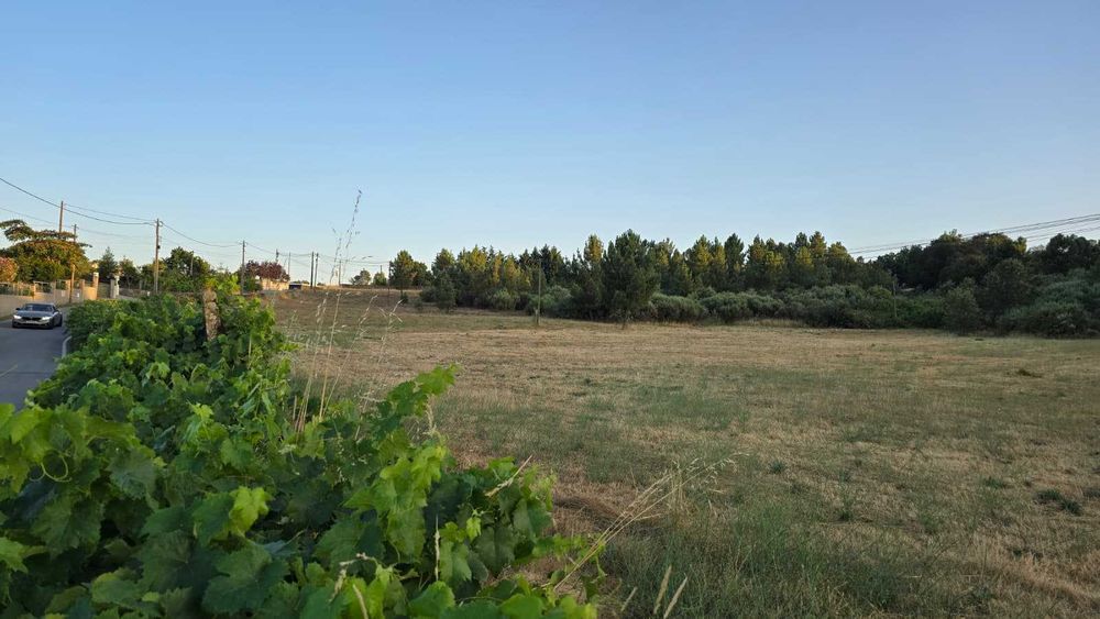 Terreno Barracão urbano à venda na Rua da Fábrica, 11.000 m² cada lote