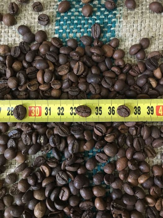 Кава / Кофе в зернах В'єтнам WP 18 scr.