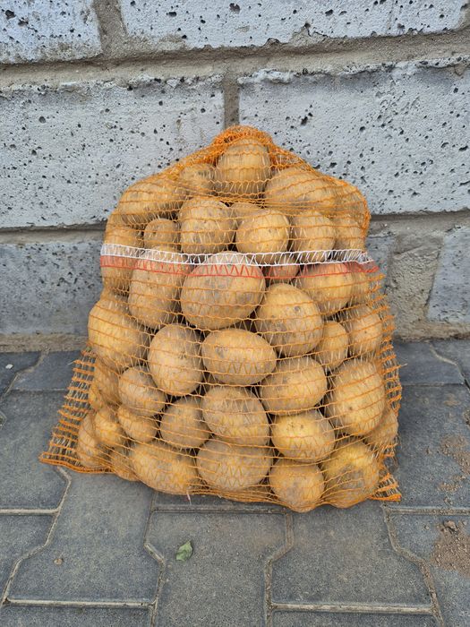 Ziemniak corina z centrali