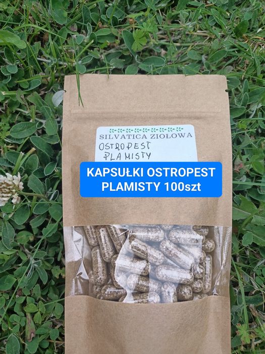 Ostropest plamisty 100 szt
