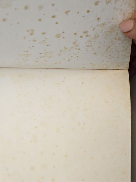 Livro 1000 conselhos para dar massagens