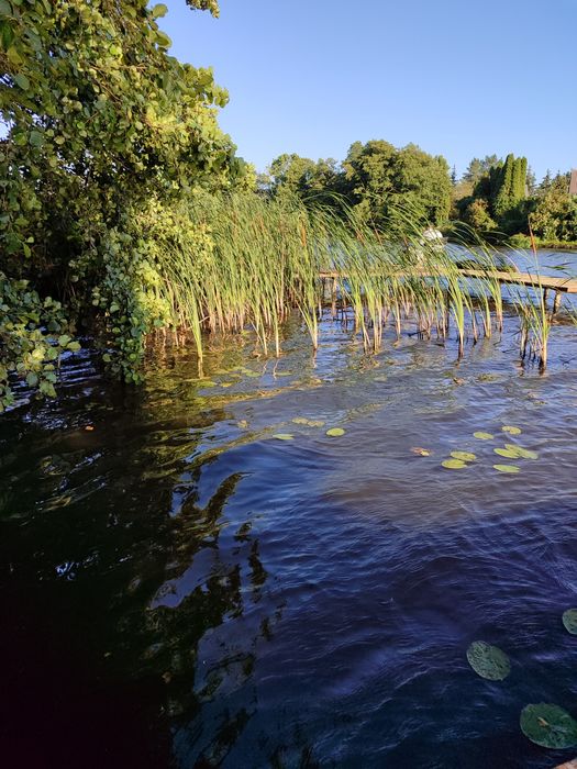 Piękna działka z linią brzegową