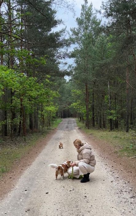 Opieka nad psem PETSITTING Domowy hotel