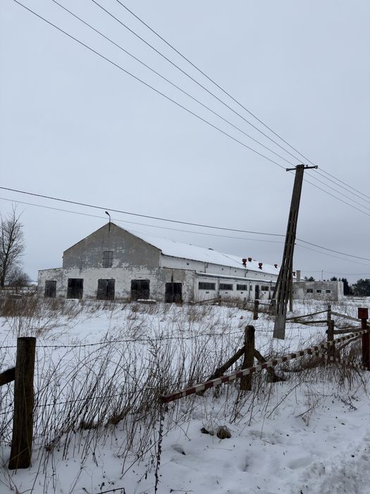 Dzierżawa obory/Budynków do hodowli zwierząt/magazyny