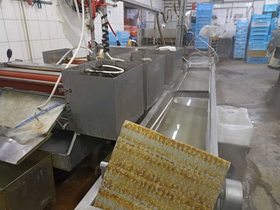 Лінія очищення (шлямування) оболонки DAT-Schaub RS 800mm-4