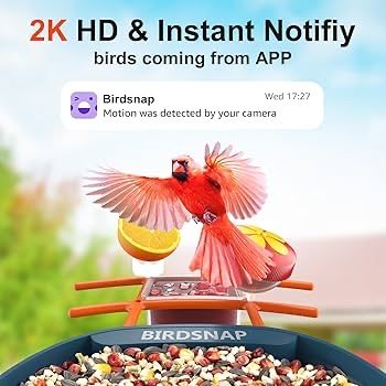 Розумна годівничка для птахів з AI-камерою Nafnti (2K HD / 5G) смарт-шпаківня