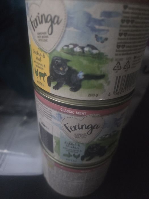 Karmy mokre dla młodego kociaka