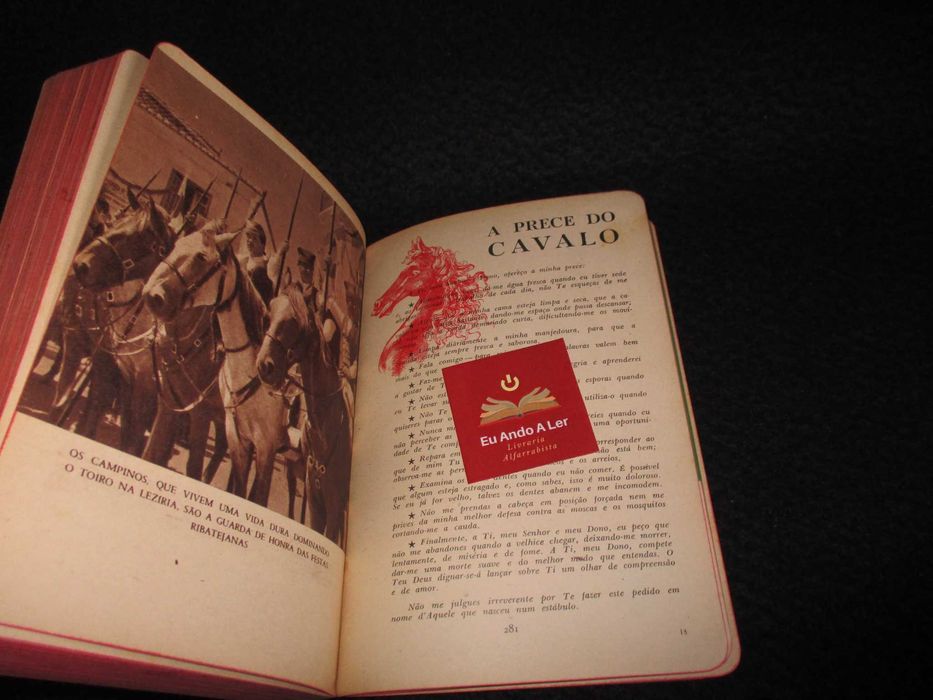 Livro Almanaque Diário de Notícias 2º Ano 1954