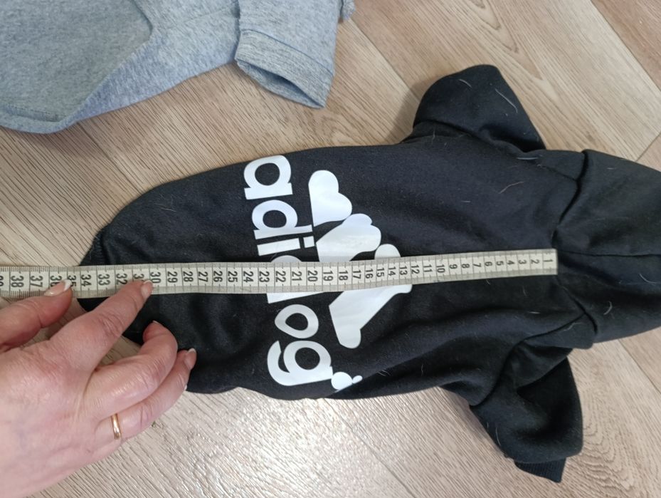 Одяг для чіхуахуа