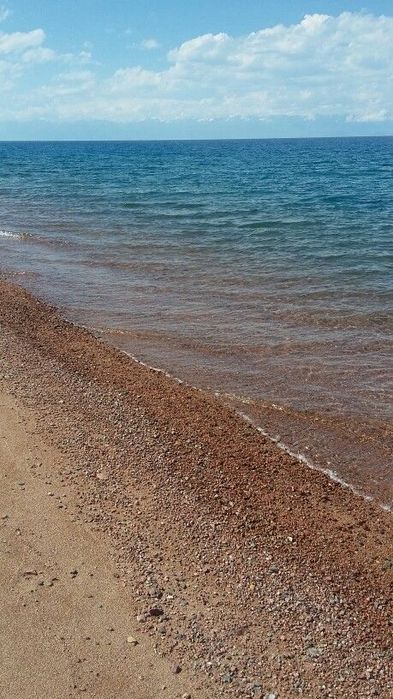 Сдам номера  у моря в самой Одессе ( первая линия) ЕСТЬ БОМБОУБЕЖИЩЕ