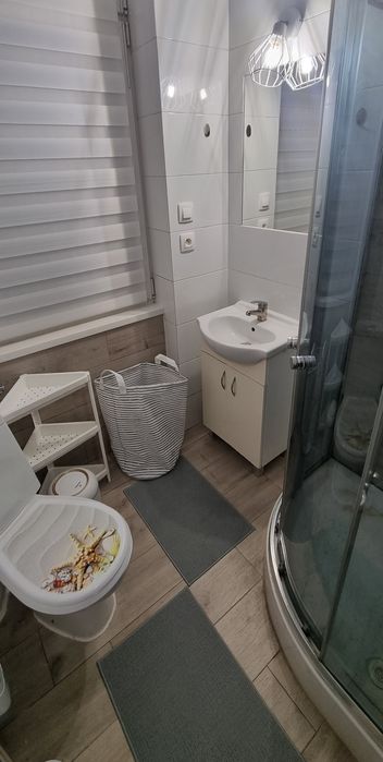 Przytulne mieszkanie w centrum Poznania