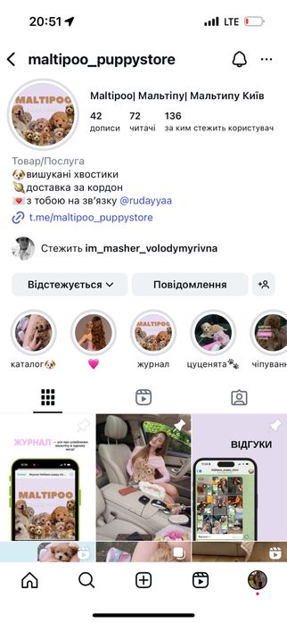Активна дівчинка мальтіпу ф1