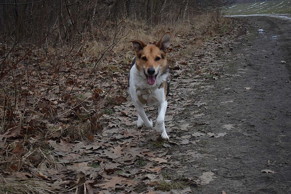 niewidzialny dla nikogo