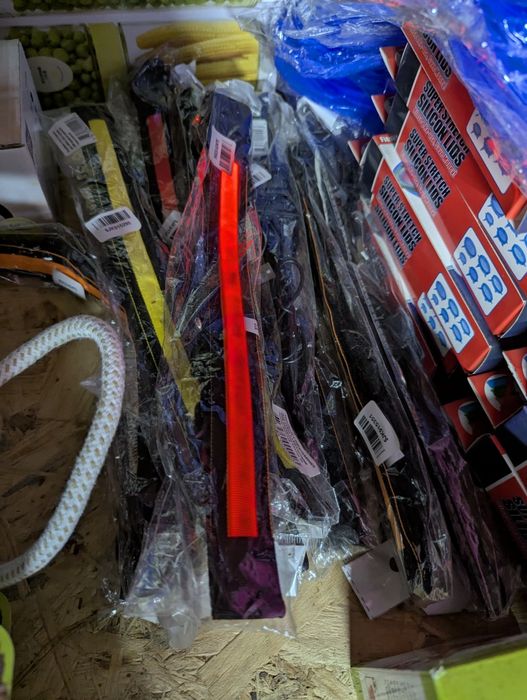 Ошийник для собак, світиться