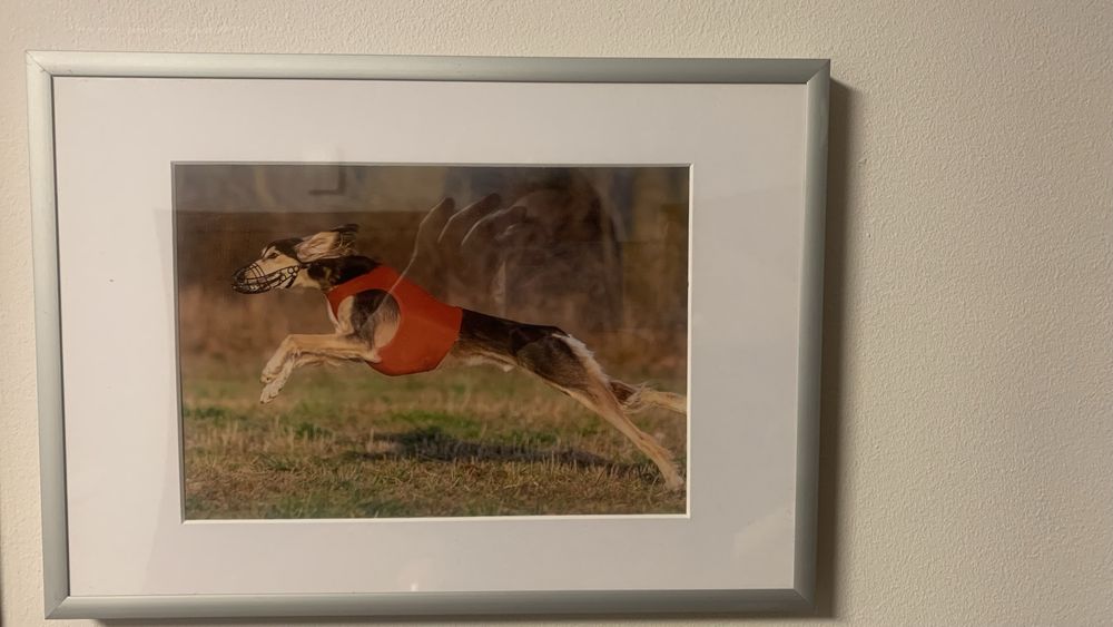 Rama A4 srebrna aluminium + passe-partout białe