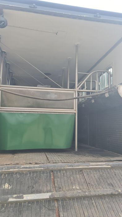 Camião Transporte de Cavalos