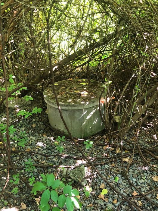 розчистка територій, чистка участків, зрізання дерев, покос трави