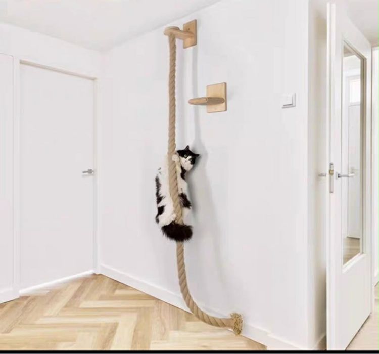 Conjunto moveis para  gato novo