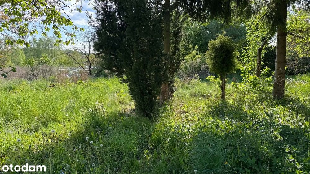 Sprzedam działkę na ul. Chrobrego w Elblągu - Więcej