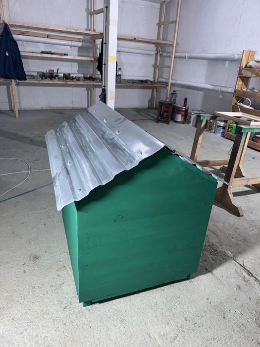 Буда для песика)