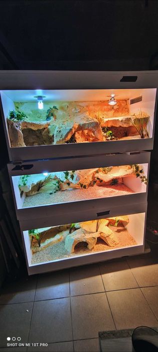 Okazja terrarium dla agamy gekona żółwia węża kameleona legwana