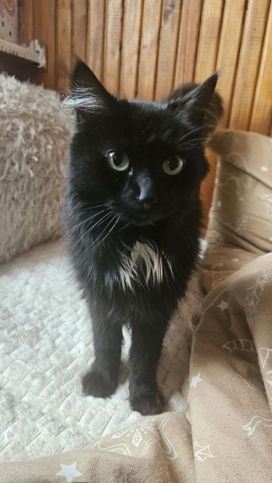 Kto da Zuzi kochajacy dom