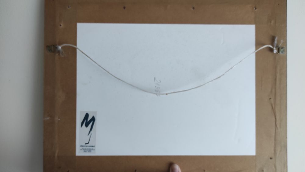 Quadro carta geográfica da barra da cidade do Porto