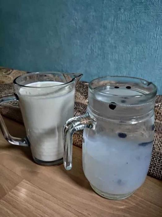 Grzybek tybetański + kryształki japońskie ZESTAW